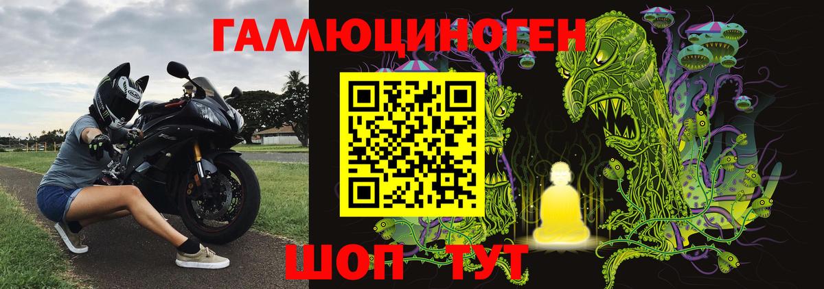 Галлюциногенные грибы мицелий  Псилоцибиновые грибы прущие грибы  купить наркотики цена  Кстово  Вход с VPN 