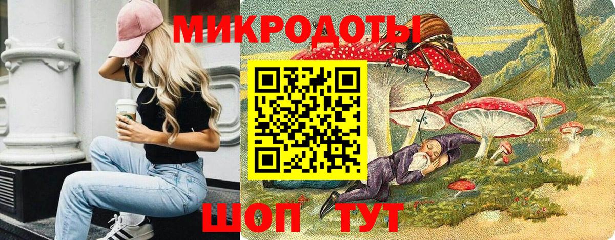 Псилоцибиновые грибы Psilocybe Кстово